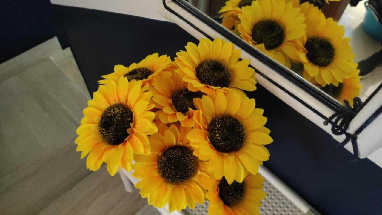 Apartament Il Girasole, Distante Solo 200 Mt. Reali Dal Mare Lido Marini Zewnętrze zdjęcie